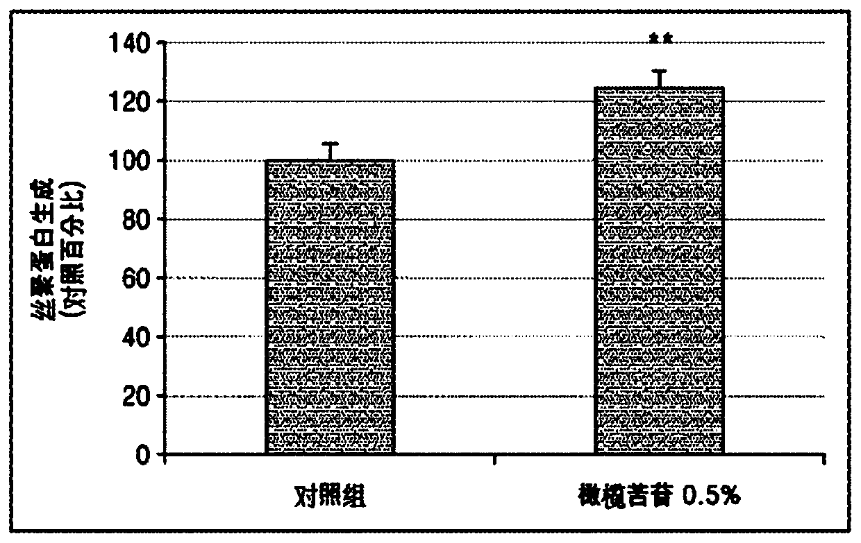 Cosmetic composition containing oleuropein for strengthening the scalp and improving condition