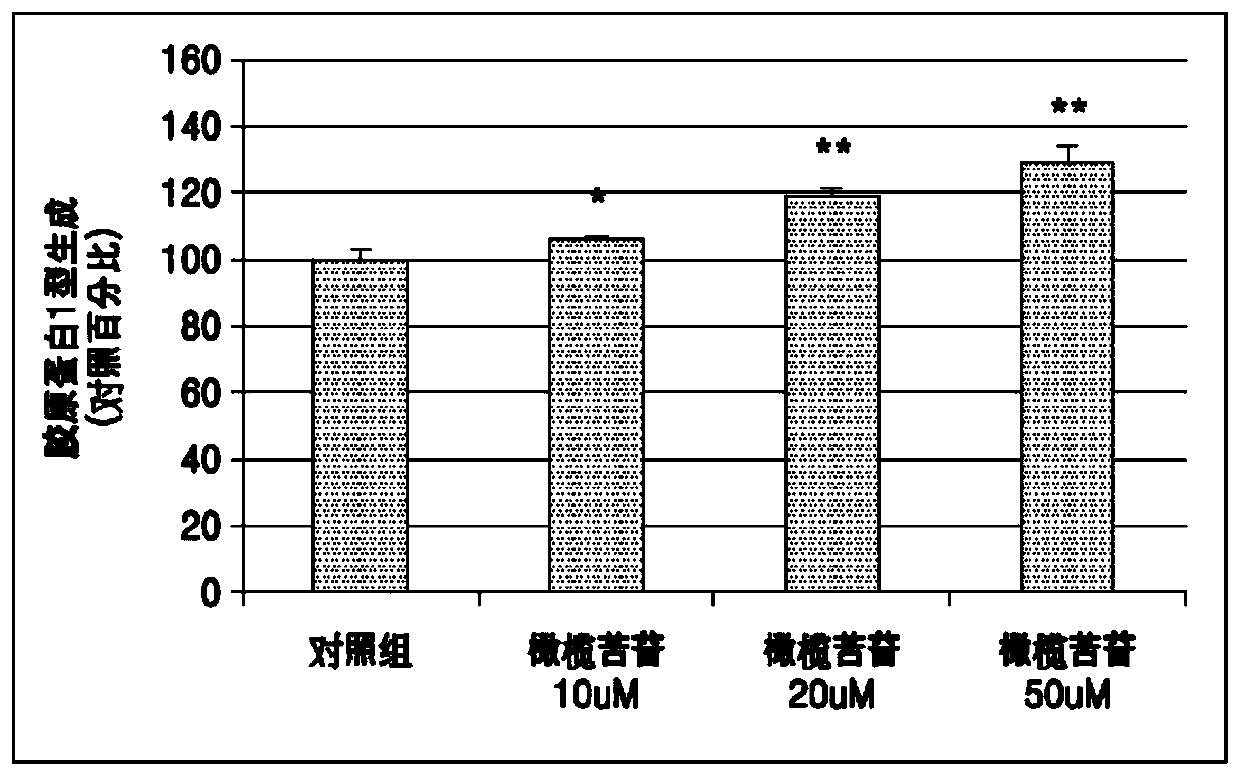 Cosmetic composition containing oleuropein for strengthening the scalp and improving condition