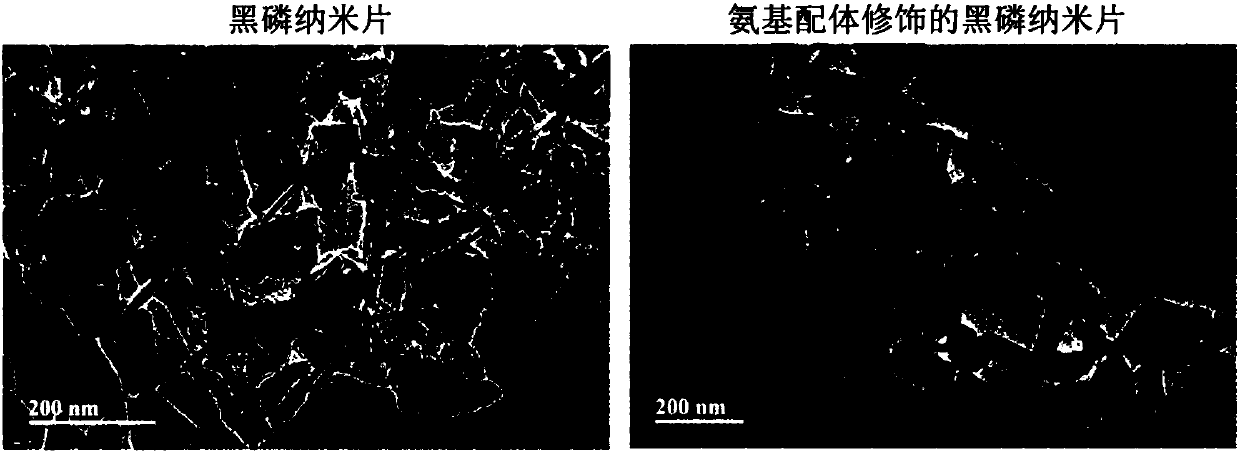 Antibacterial black phosphorus nanometer material and preparation method thereof