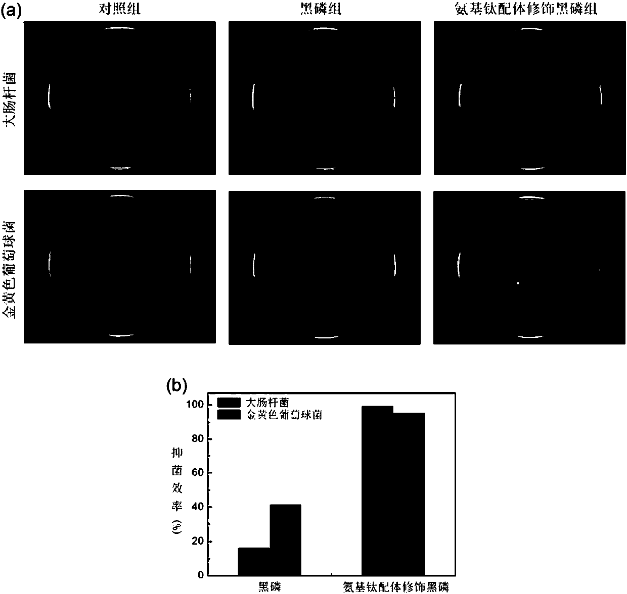 Antibacterial black phosphorus nanometer material and preparation method thereof