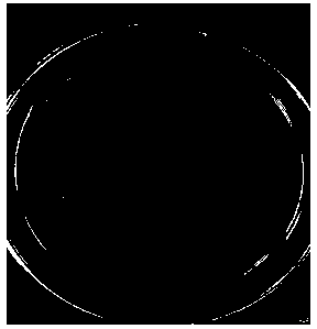 Degradation bacteria for sulfonamide antibiotics and application thereof