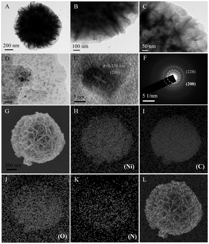 Hollow nitrogen-doped nickel oxide/nickel/carbon composite material, preparation method and application