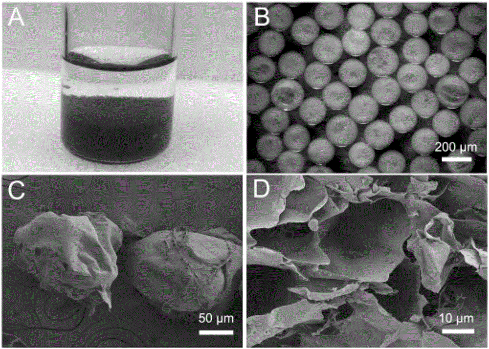 Graphene/anionic polysaccharide composite microsphere carrier and preparation method thereof