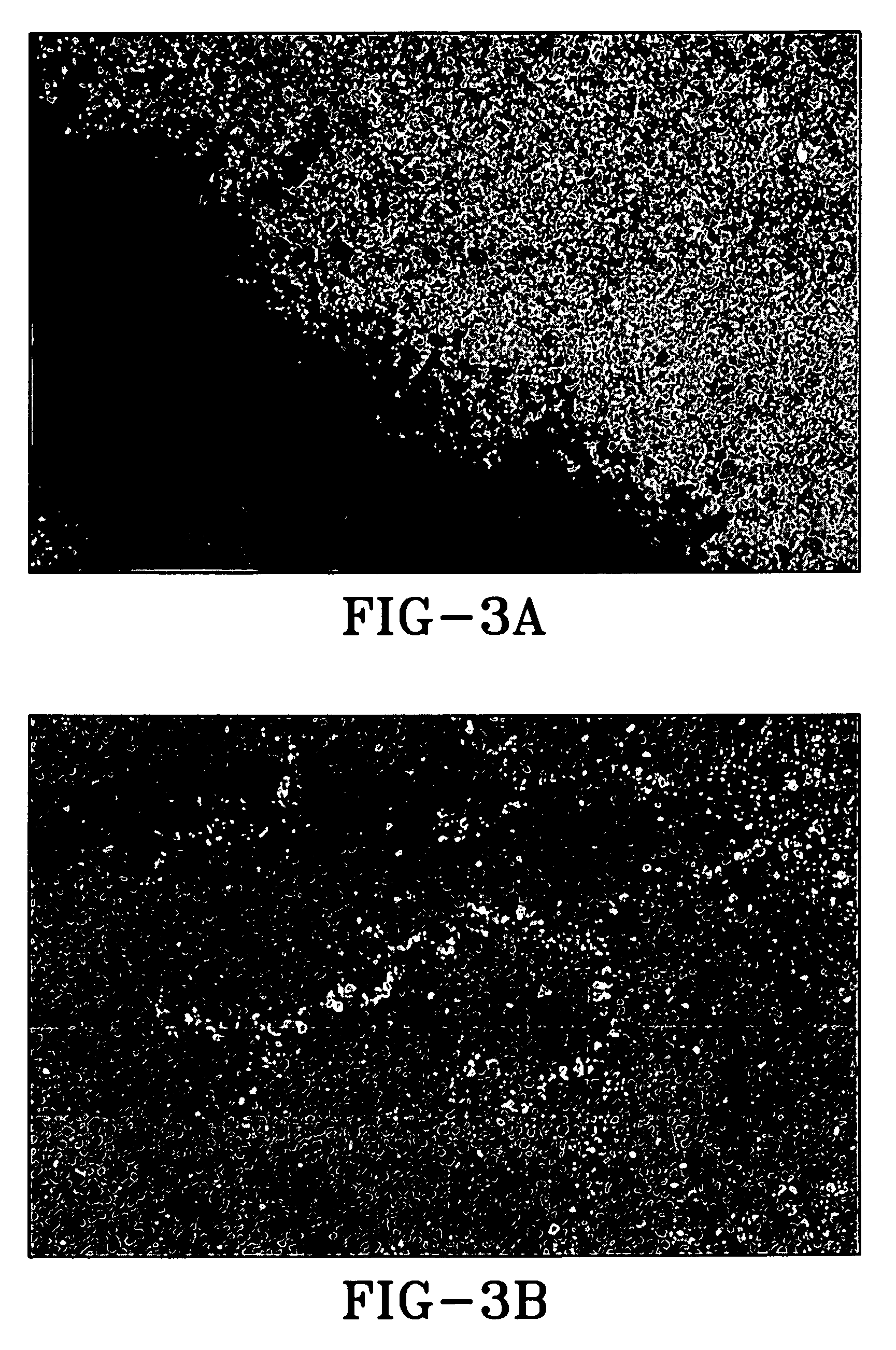 Polymerization-encapsulated cholesteric liquid crystal for bistable reflective displays