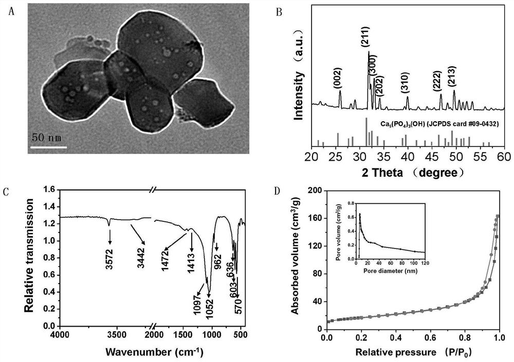 Preparation method of hexagonal macroporous hydroxyapatite as well as product and application of hexagonal macroporous hydroxyapatite