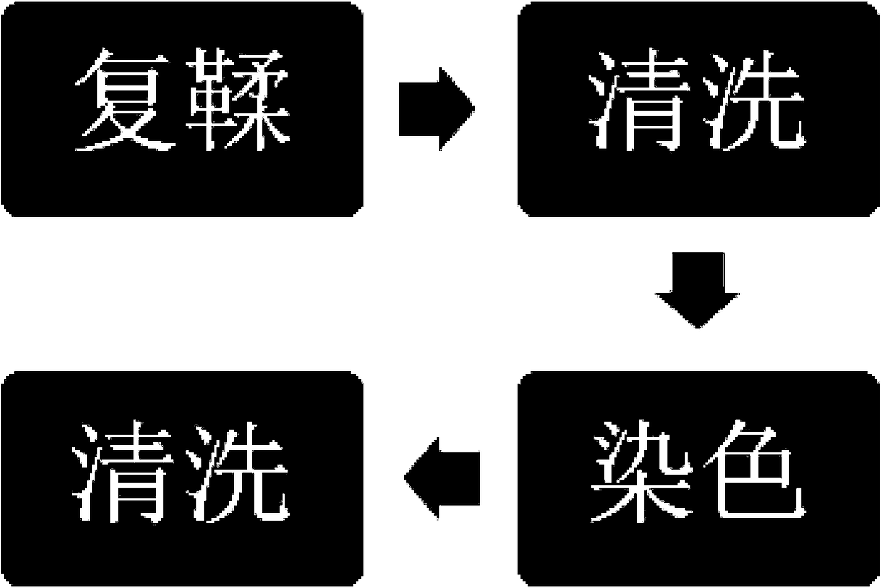 Coloring agent and dyeing process for double-faced leather