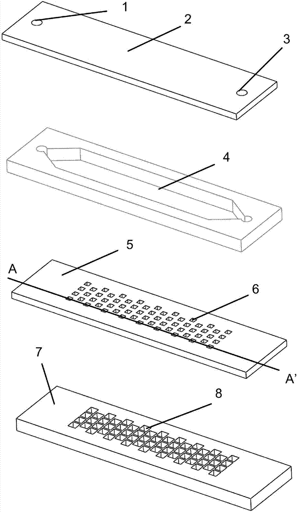 Microfluidic chip for study of tumor single cell invasion and epithelial-mesenchymal transition