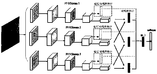 Image fine-grain identification method based on multi-stream multi-scale cross bilinear features