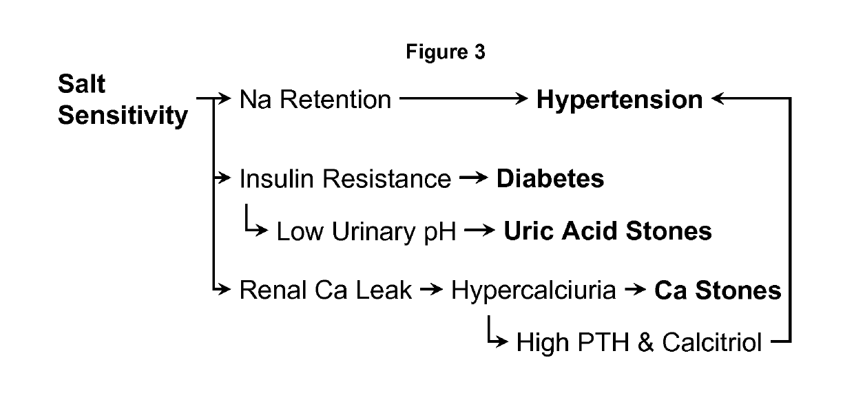 Potassium-magnesium citrate as a surrogate of the DASH diet in managing hypertension