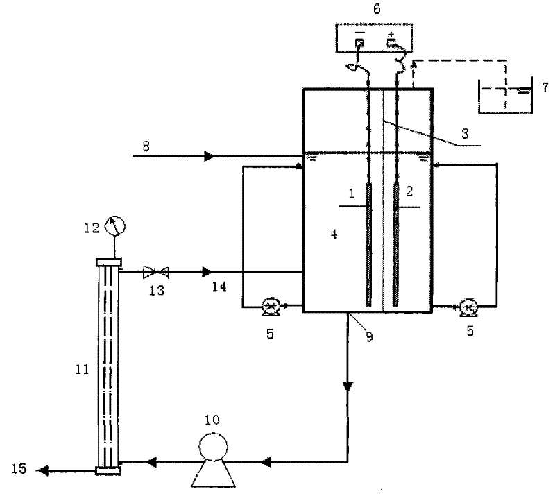 Method for removing nitrate through membrane electrolysis electrochemical hydrogen autotrophic denitrification