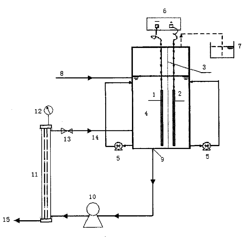 Method for removing nitrate through membrane electrolysis electrochemical hydrogen autotrophic denitrification