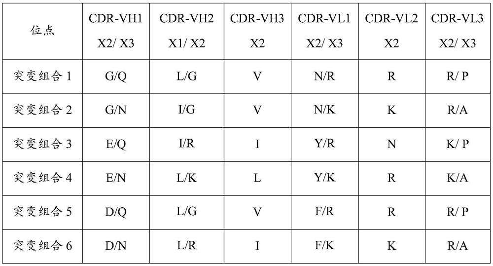 A kind of anti-human cardiac troponin I antibody and its application