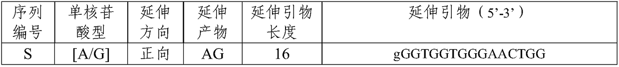 SNP molecular marker related to sheep kidding number properties, and applications thereof