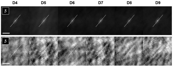 Scattering generalization imaging method and experimental method based on physical driving