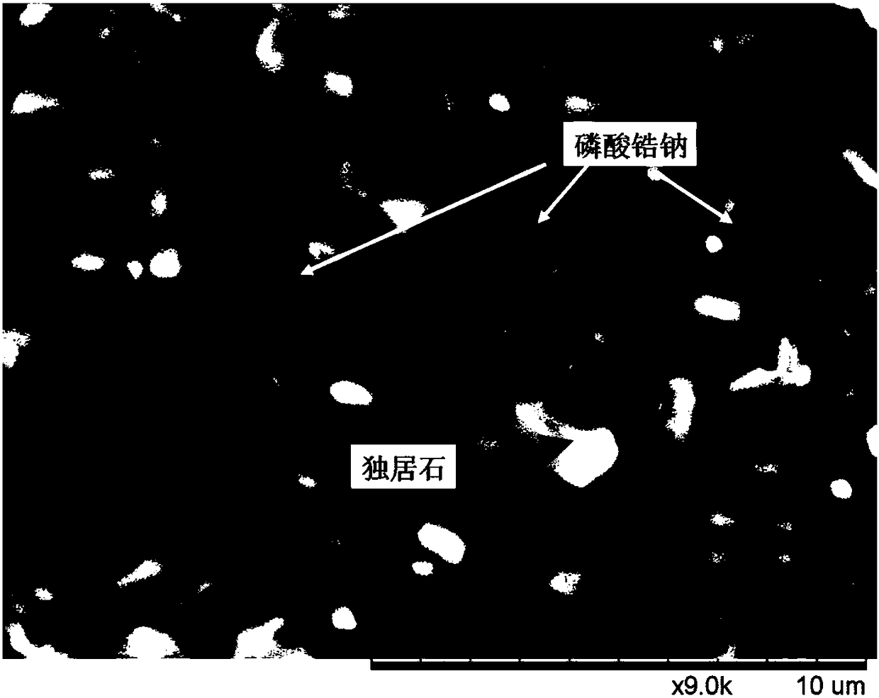 Sodium zirconium phosphate-monazite glass ceramic solidified body and preparation method thereof