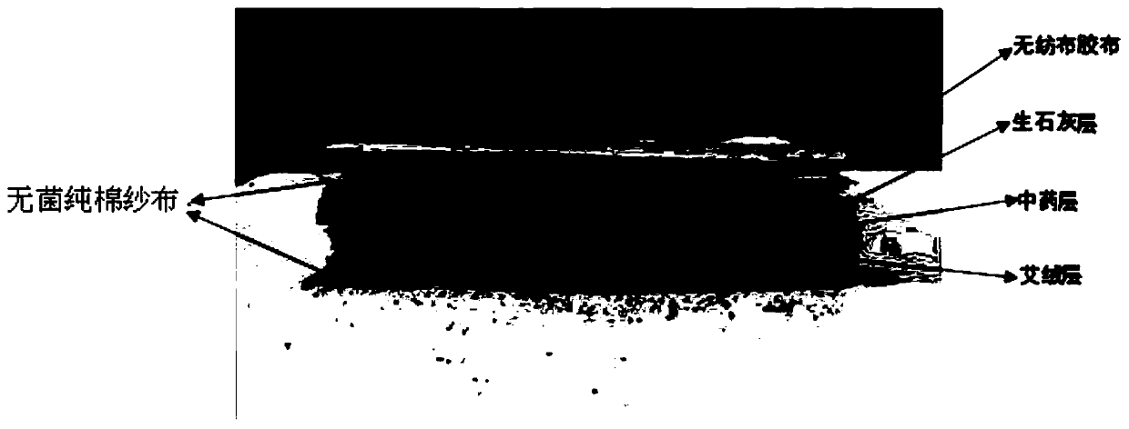 Traditional Chinese medicine external application plaster for treating tenosynovitis and preparation method thereof