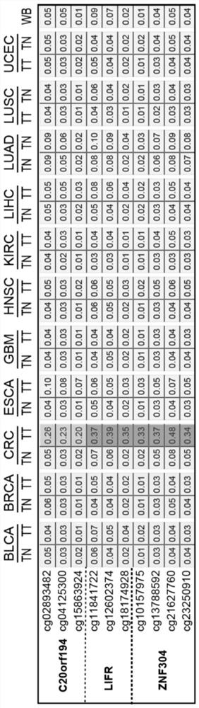 Methylation marker related to colorectal cancer and kit for detecting colorectal cancer