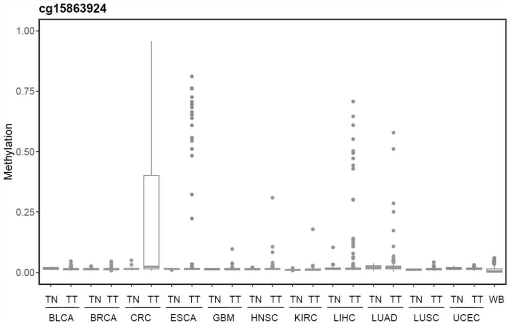 Methylation marker related to colorectal cancer and kit for detecting colorectal cancer