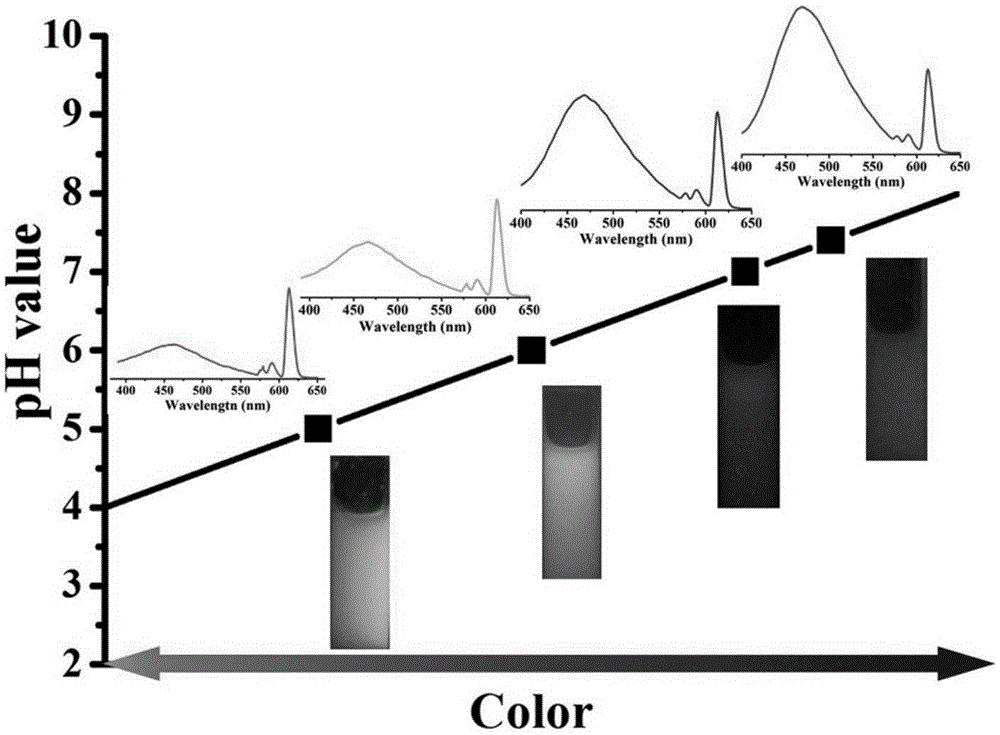 A pH-responsive dual fluorescent functional polymer nanosphere and its application in tumor tissue detection