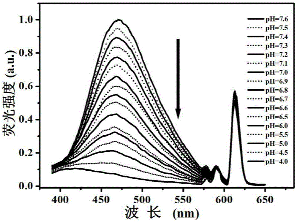 A pH-responsive dual fluorescent functional polymer nanosphere and its application in tumor tissue detection