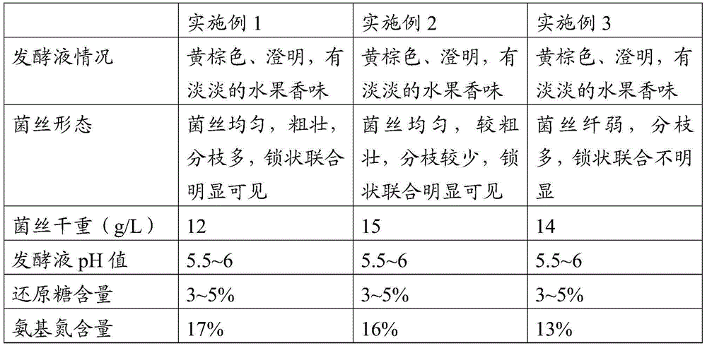 Earthstar scleroderma strain, and culture medium, culture method and application thereof