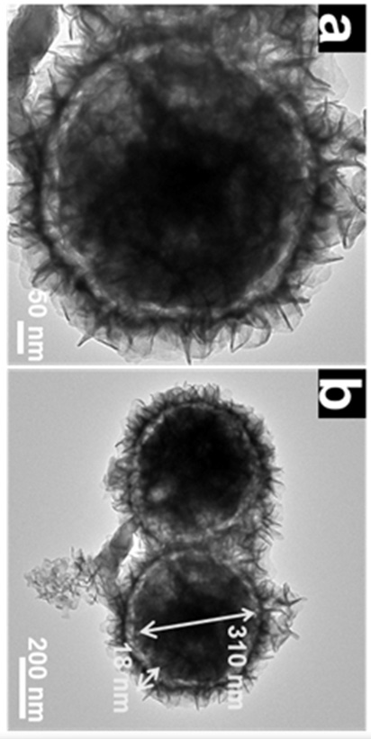 Nickel-cobalt-tungsten polysulfide bifunctional catalyst with core-shell spherical structure as well as preparation method and application of nickel-cobalt-tungsten polysulfide bifunctional catalyst