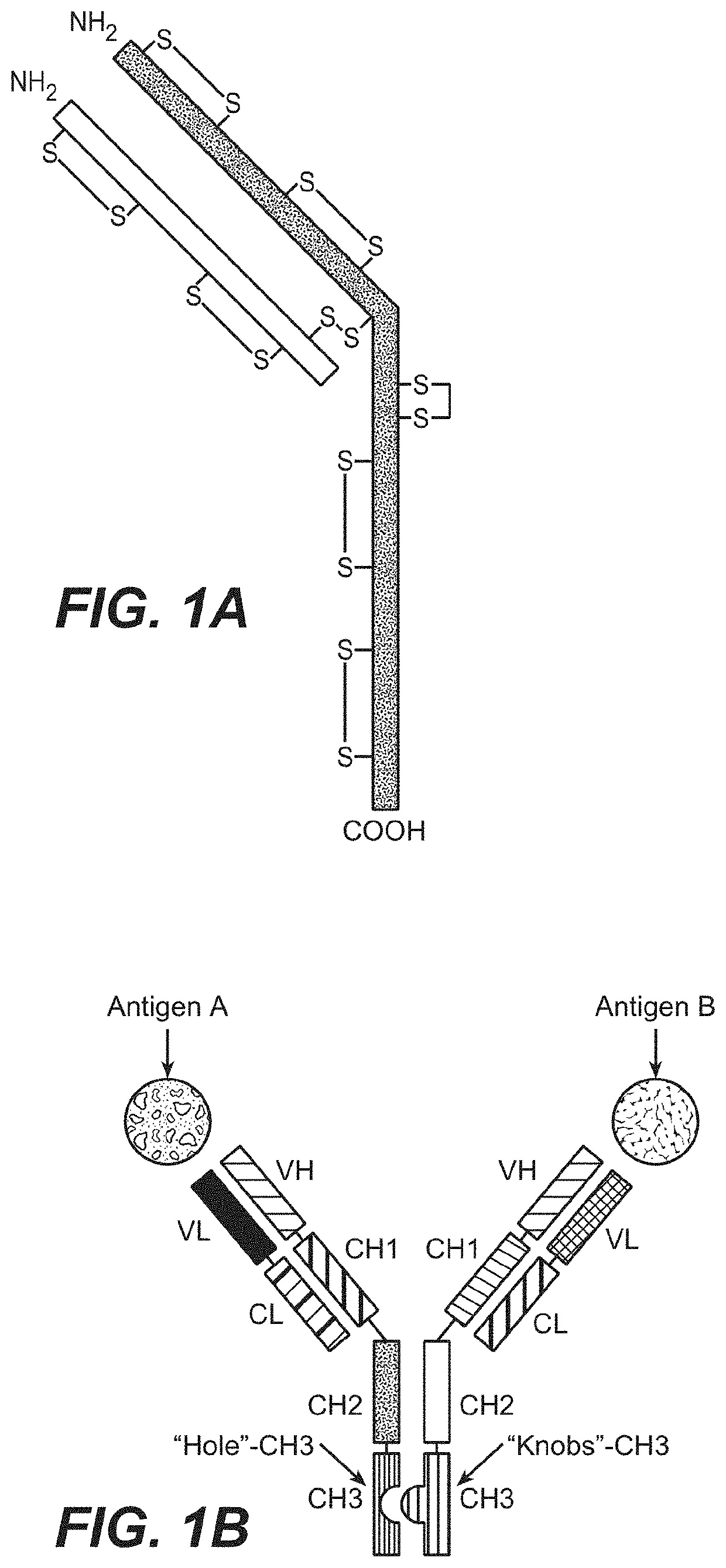 Fc variants and methods for their production