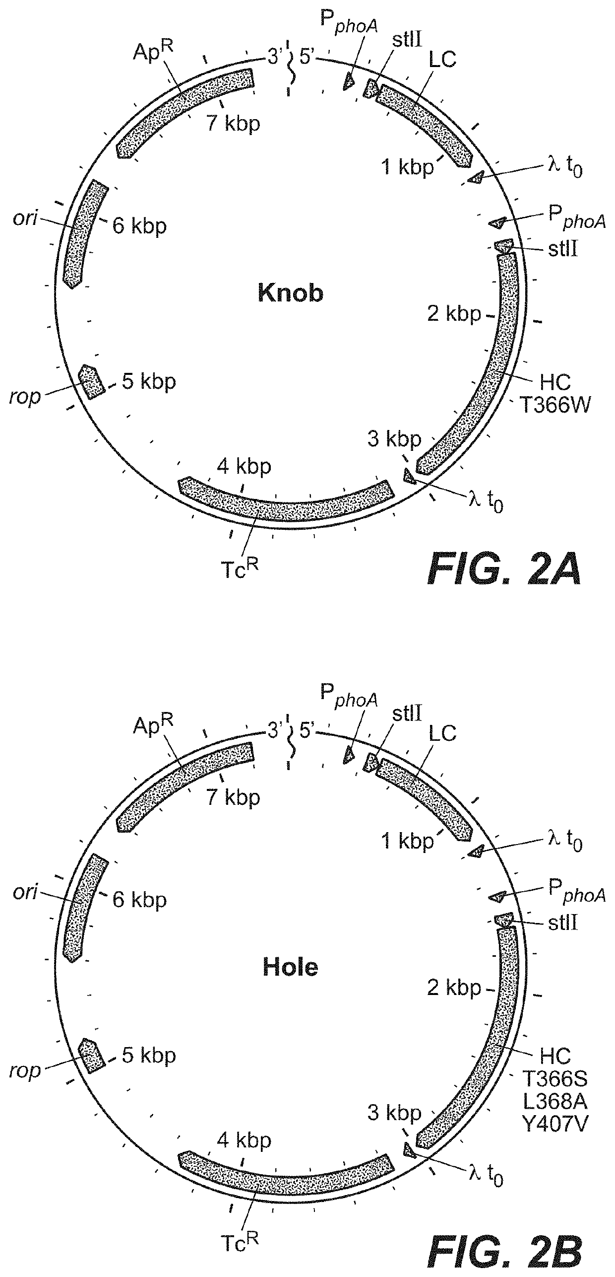 Fc variants and methods for their production