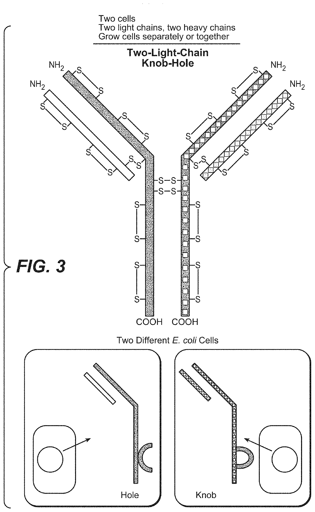 Fc variants and methods for their production