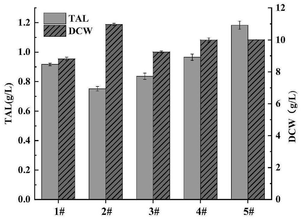 Yarrowia lipolytica engineering bacterium for producing triacetate lactone by using xylose and application of yarrowia lipolytica engineering bacterium