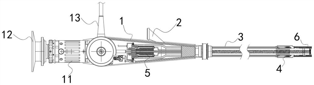 Lung endoscope