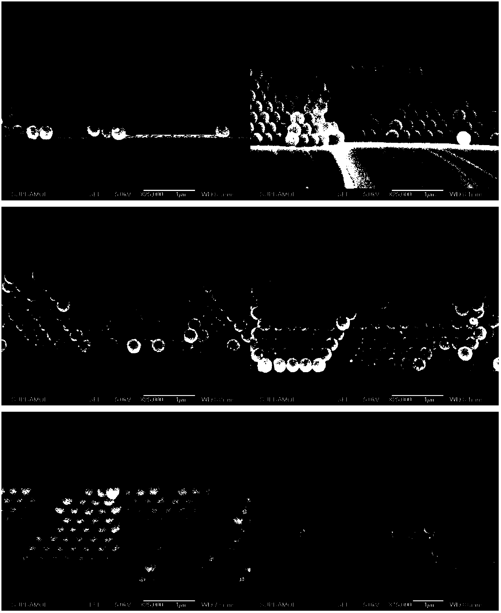 Method for preparing gradient-controllable colloidal photonic crystal