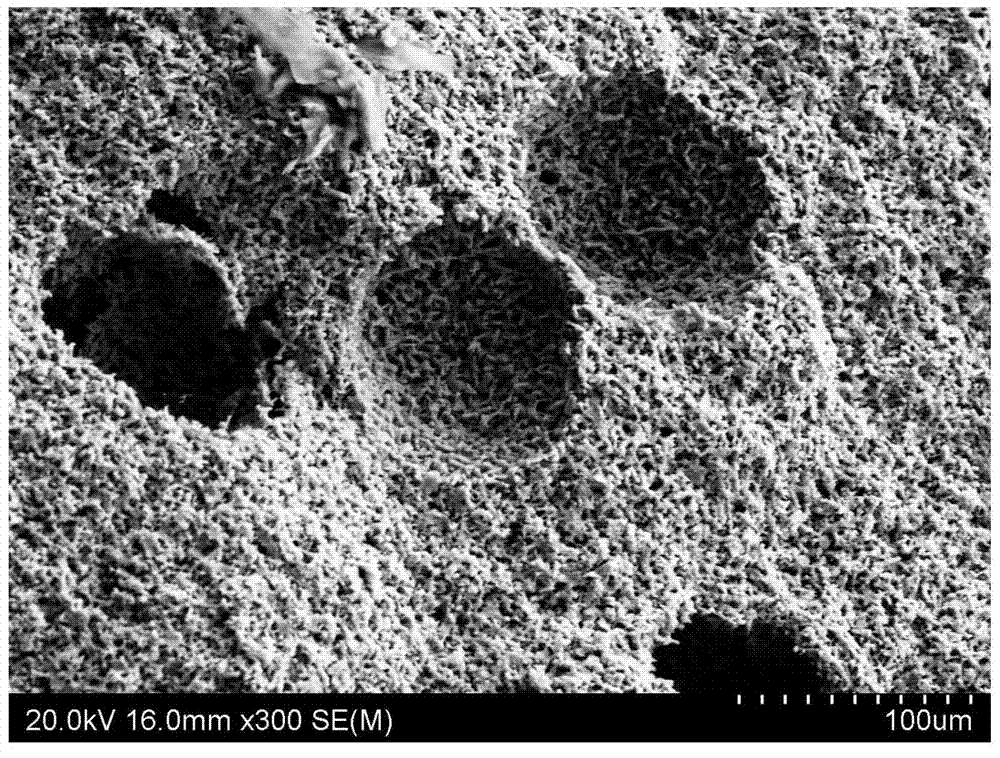 Preparation method for porous silicon nitride ceramic