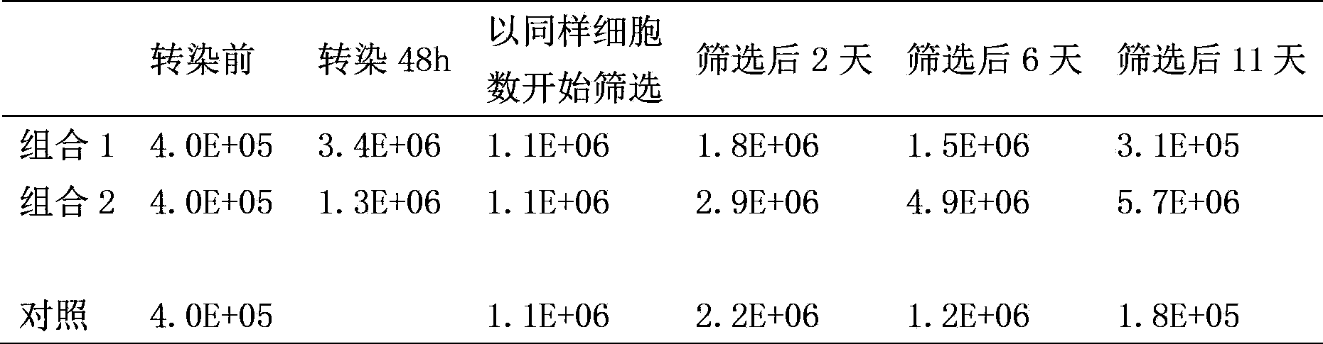 Efficient clone selection expression vector, and preparation method and use thereof