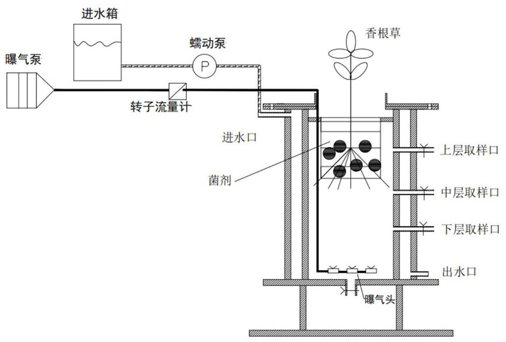 Slow-release carbon source immobilized aerobic denitrification complex microbial agent, and preparation method and application thereof