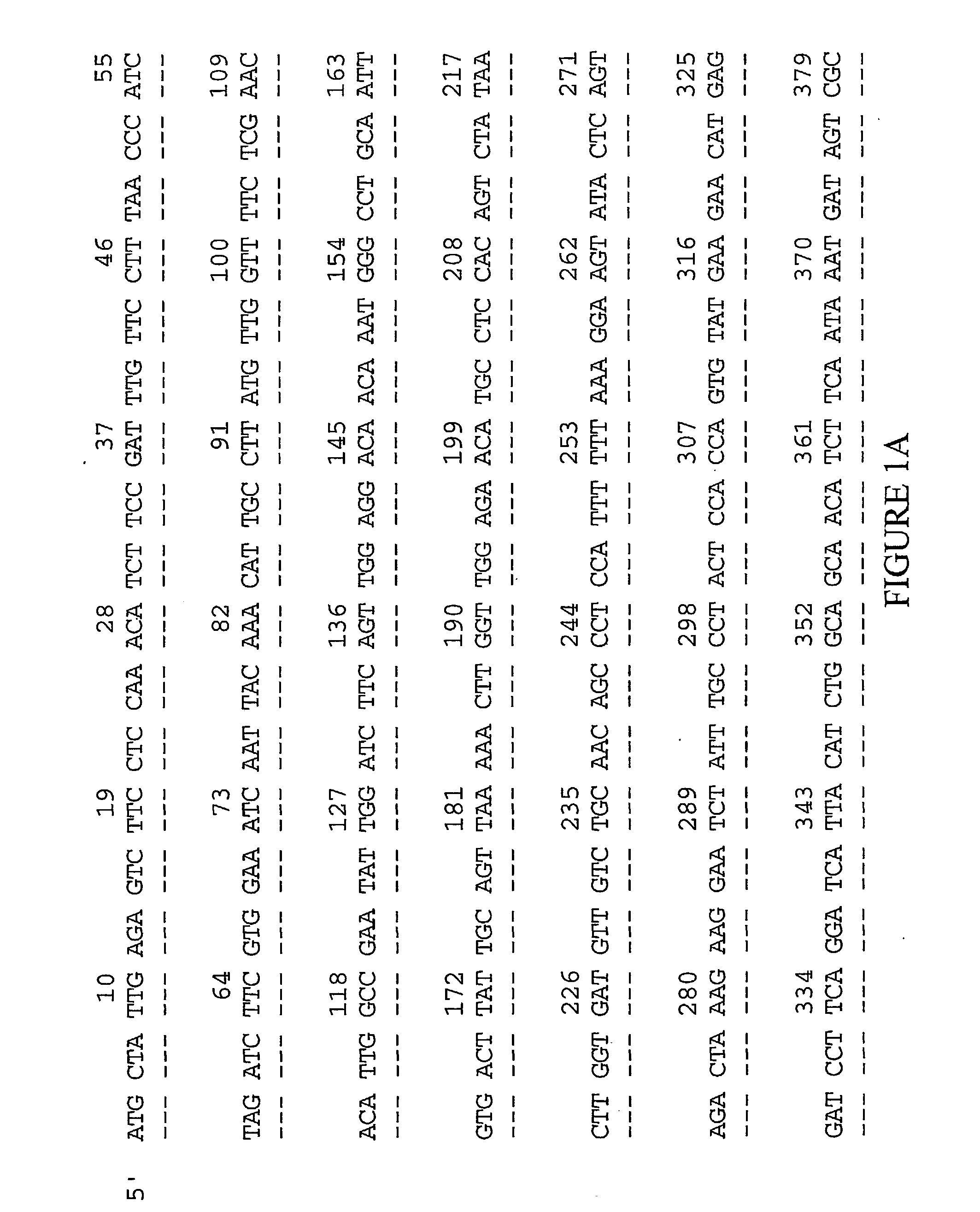 Novel compounds