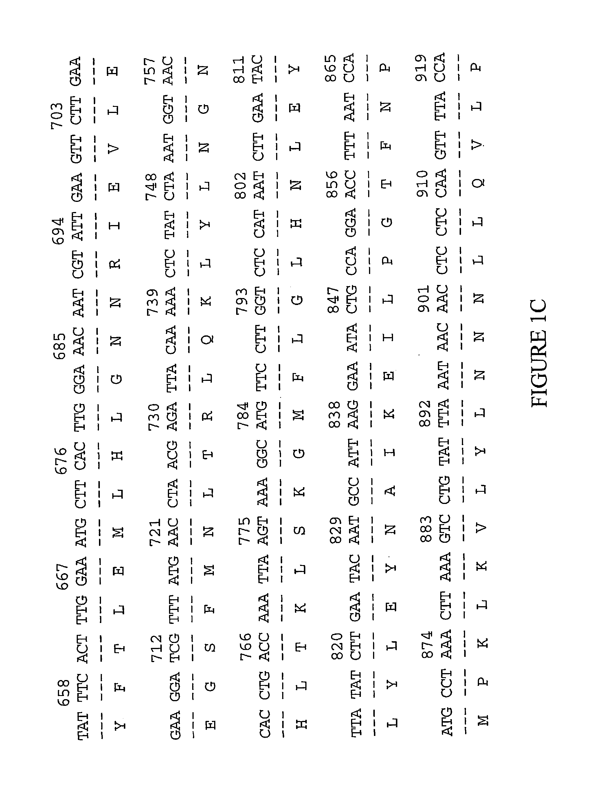 Novel compounds