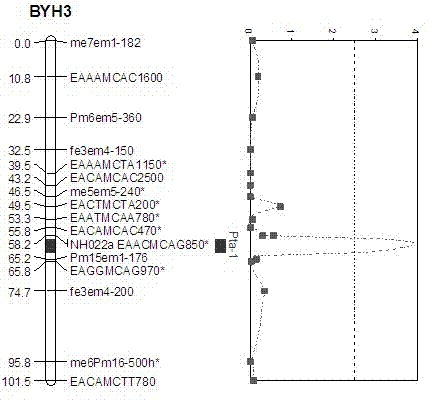 Molecular marker of Pyrus communis L. fruit titratable acid content