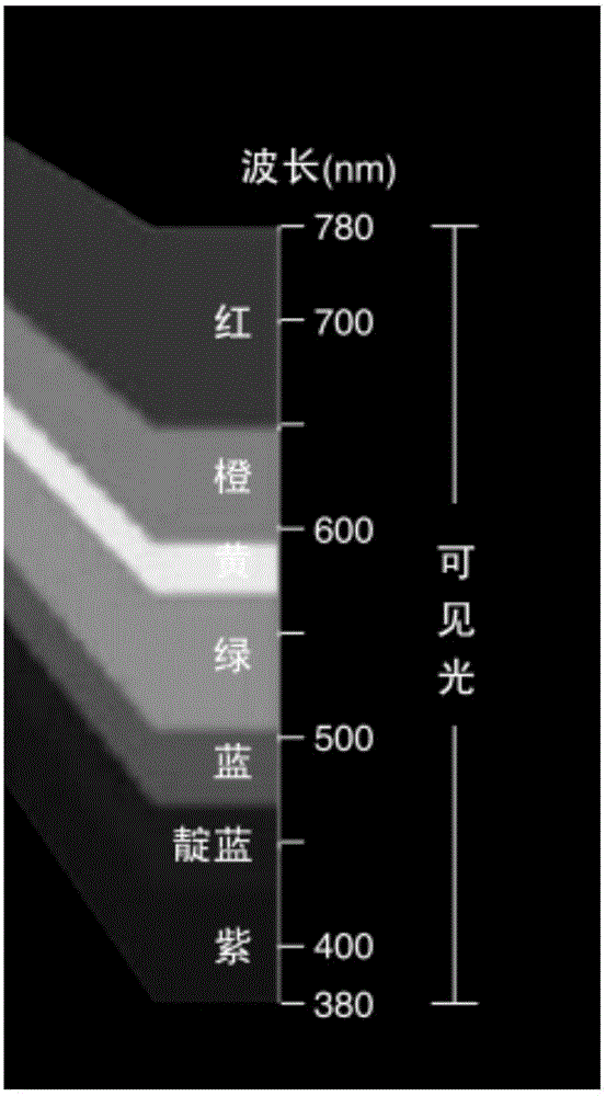 Liquid crystal display, display module thereof and color light filtering device thereof