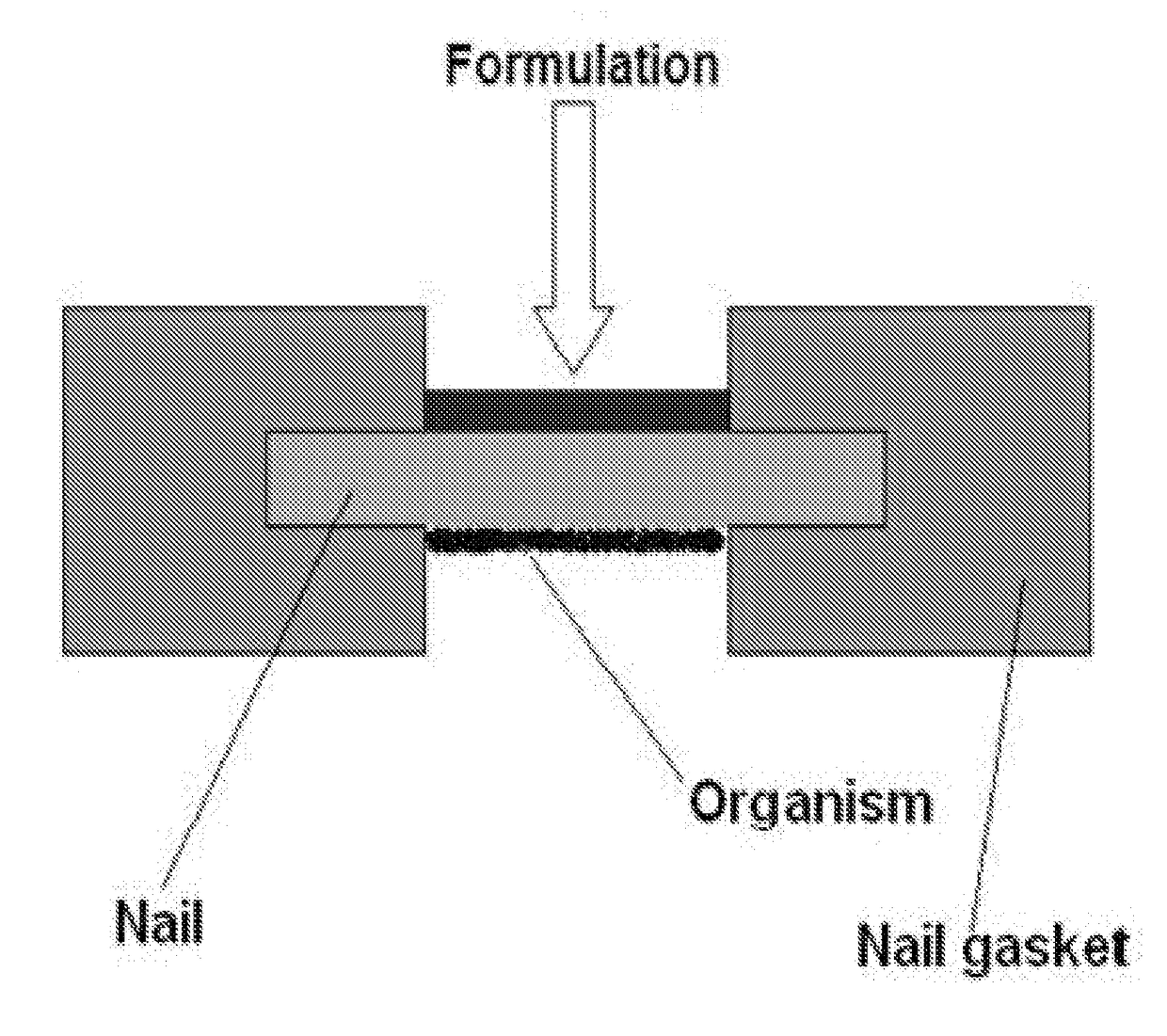 Nitric oxide releasing nail coating compositions, nitric oxide releasing nail coatings, and methods of using the same