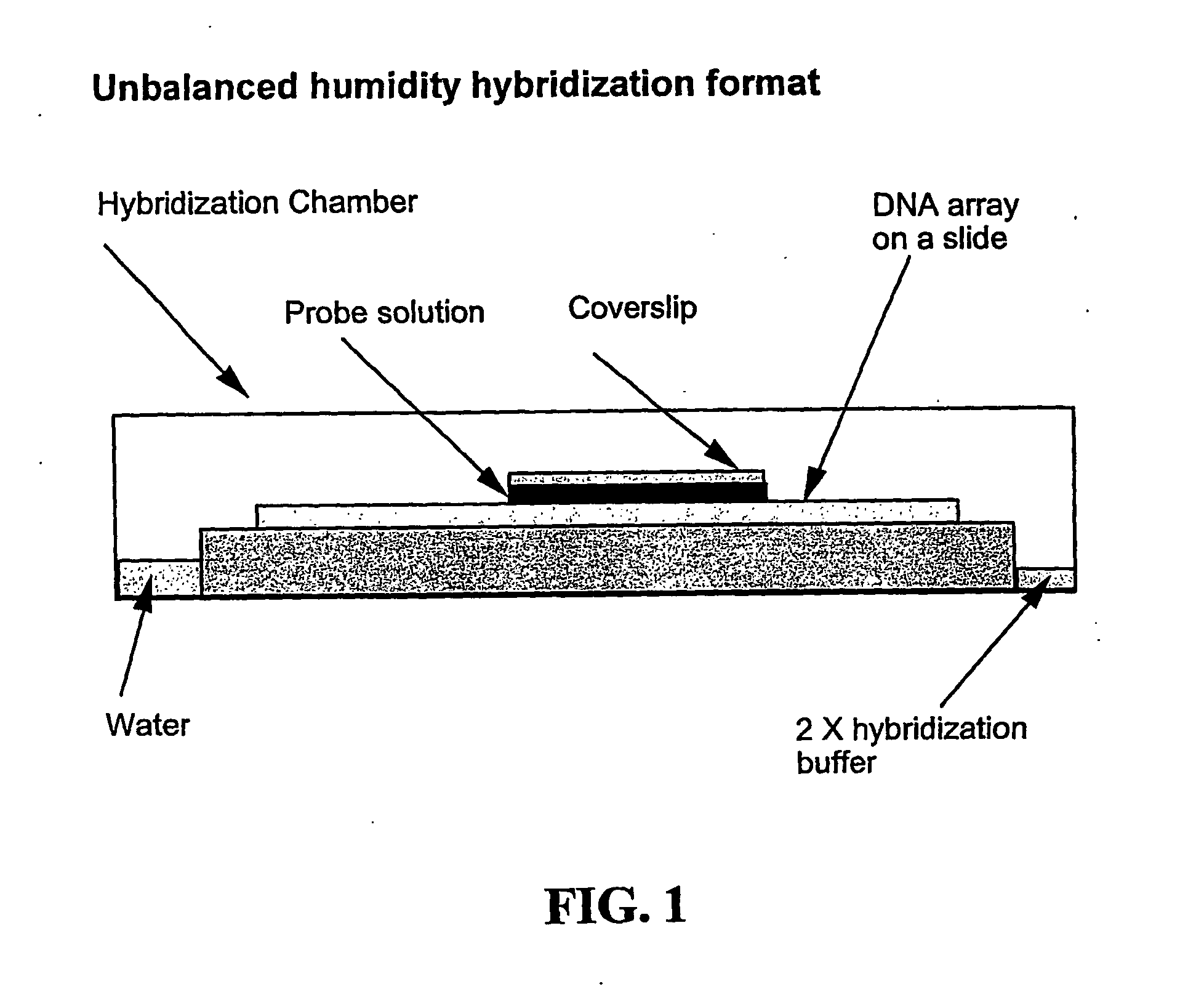 Arrays comprising pre-labeled biological molecules and methods for making and using these arrays