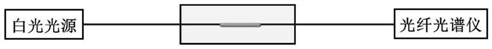 Liquid core hydrogel optical fiber, preparation method and application of liquid core hydrogel optical fiber, liquid core hydrogel optical fiber probe sensor and application of liquid core hydrogel optical fiber probe sensor