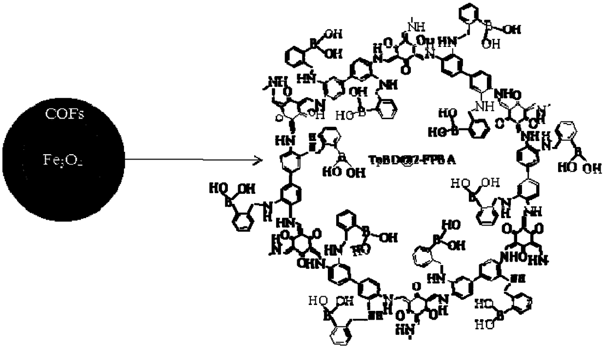 Boric acid type magnetic COFs (covalent organic frameworks) material, preparation method and application