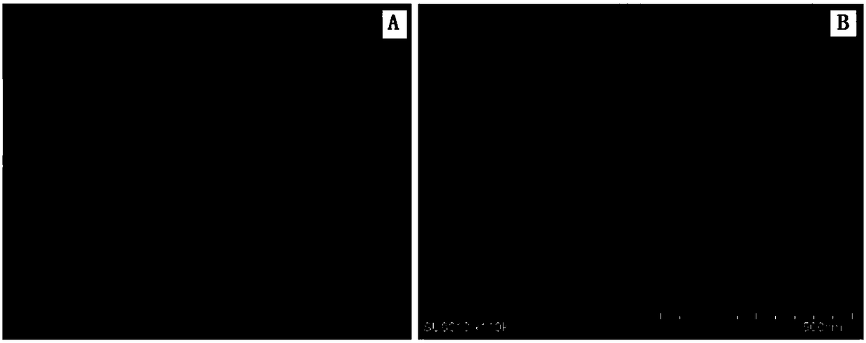 Boric acid type magnetic COFs (covalent organic frameworks) material, preparation method and application