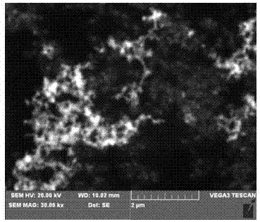 Application and preparation method of helical carbon nano tube