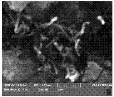 Application and preparation method of helical carbon nano tube