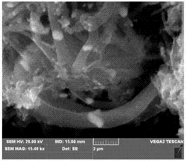 Application and preparation method of helical carbon nano tube