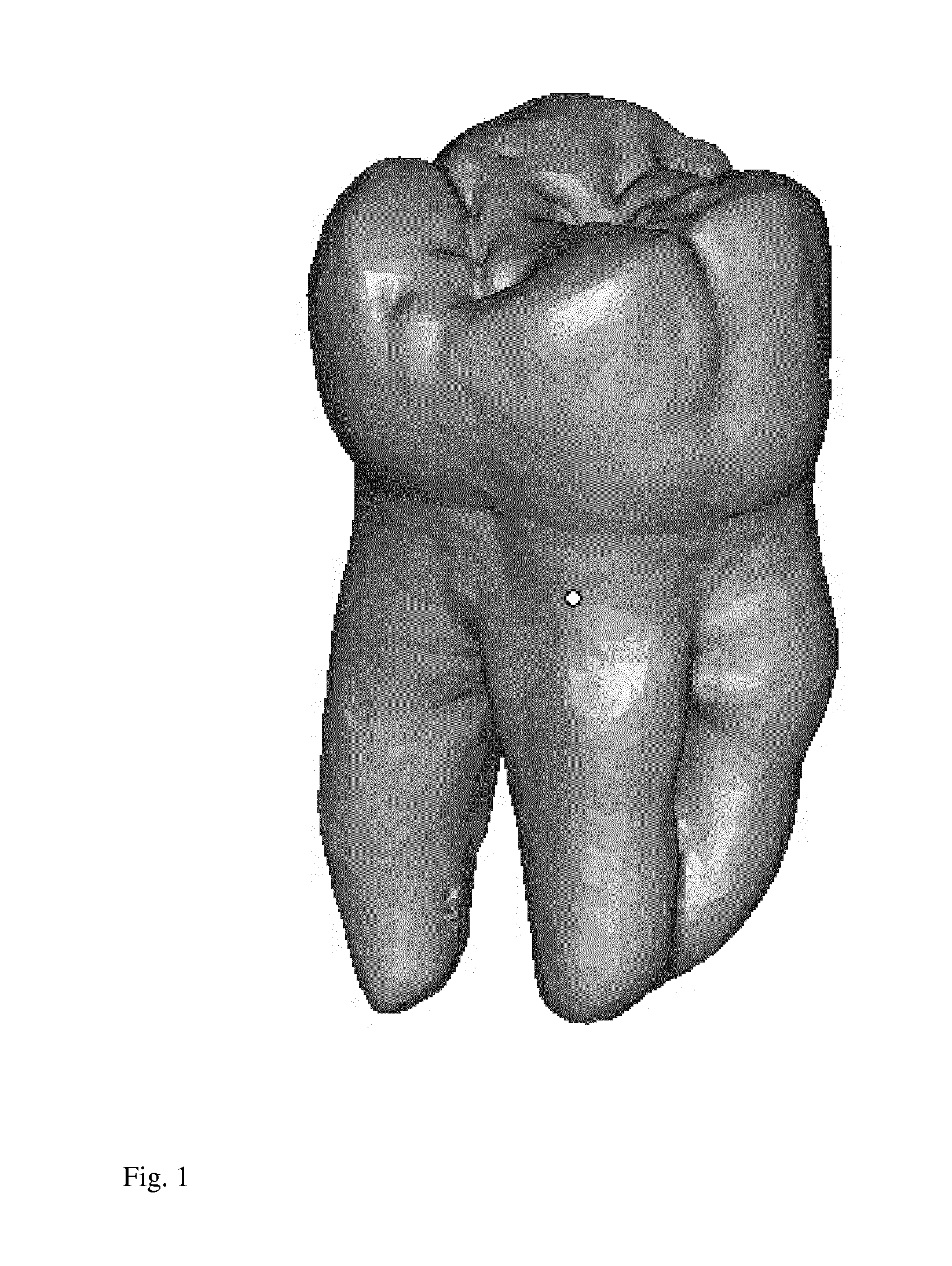 Endodontic treatment simulation system