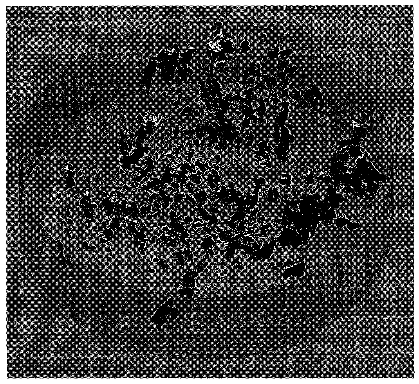 Material and method for manufacturing carbonate cave oil reservoir physical model