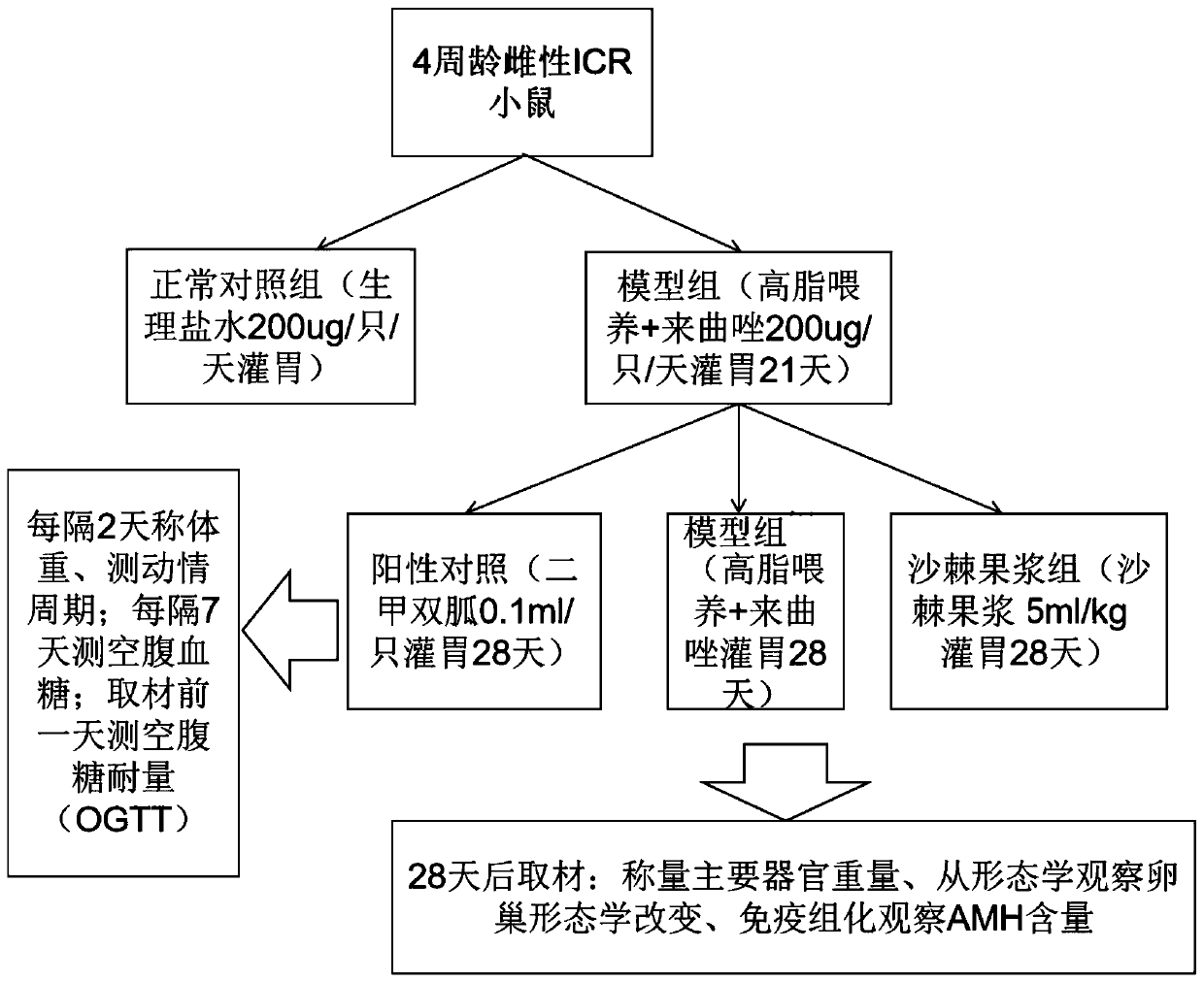 Application of sea-buckthorn fruit pulp in treatment of PCOS (polycystic ovary syndrome)